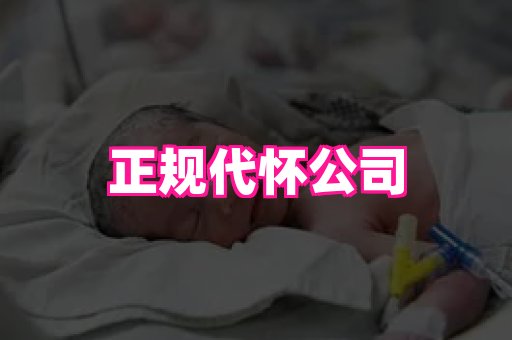 gfg孕网 1