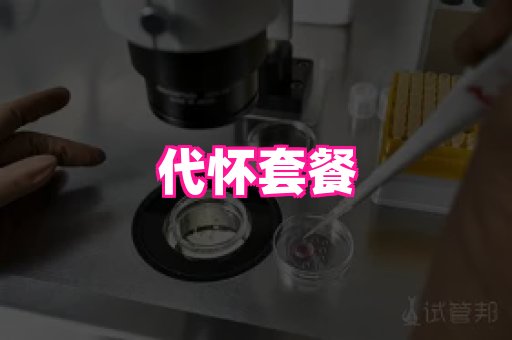 gfg孕网 4